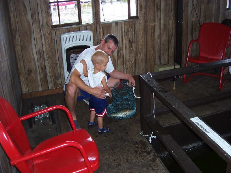 thumb_100_1871_1024.jpg
