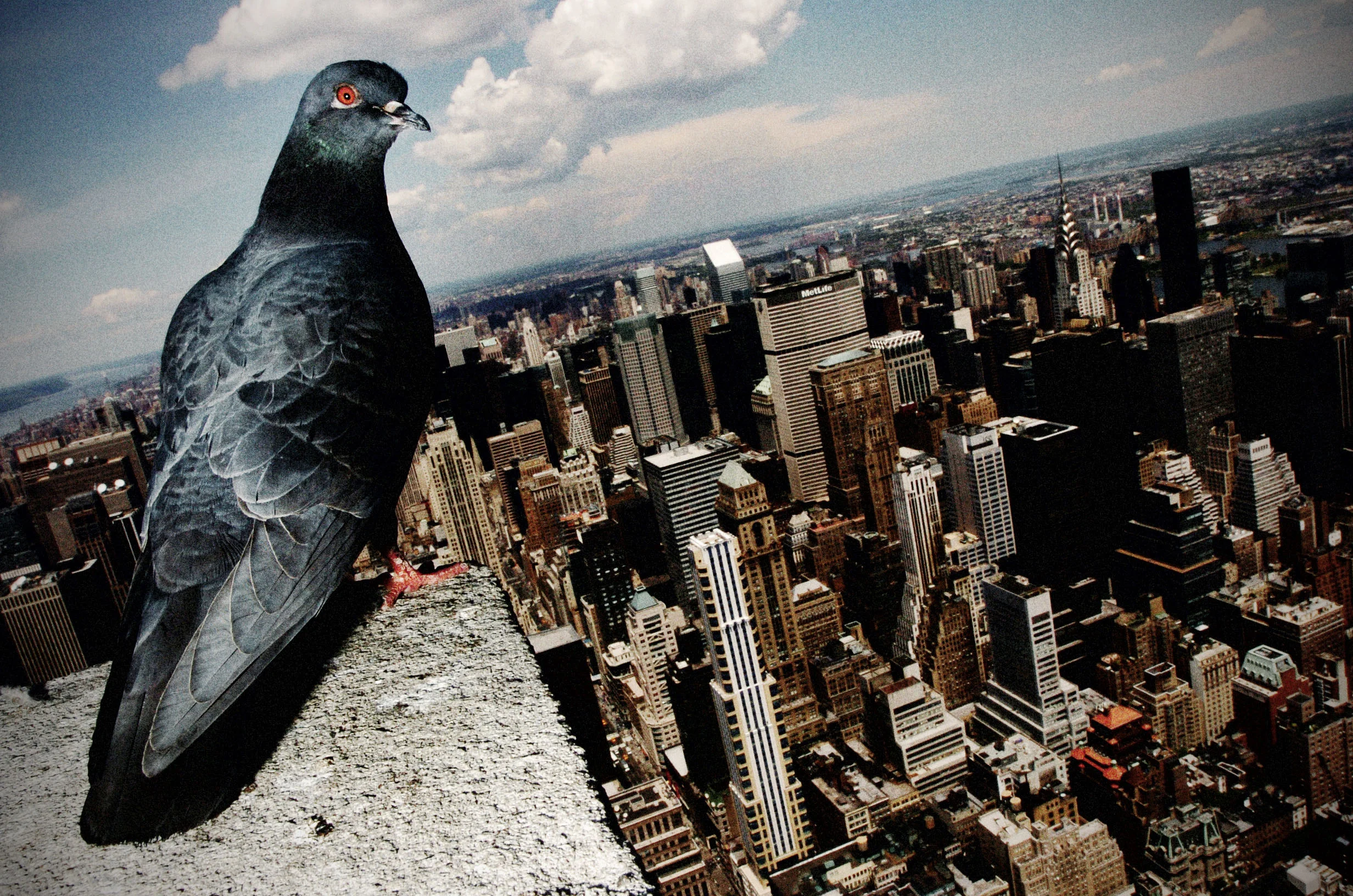 website_NYC_9.jpg