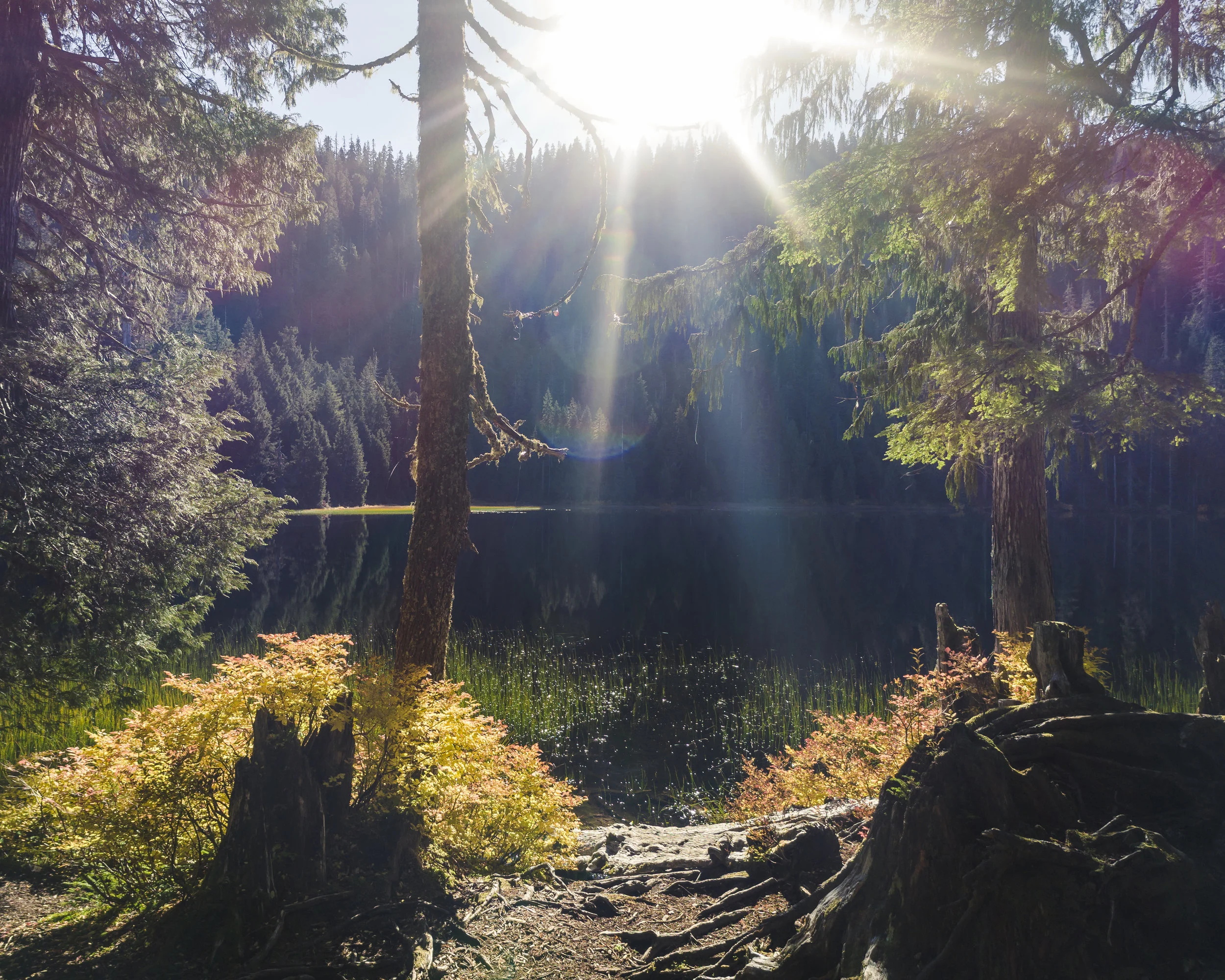 Nature_Fall_Season_Background_of_Lake_with_Colorful_Sun_Lens_Flare.jpg