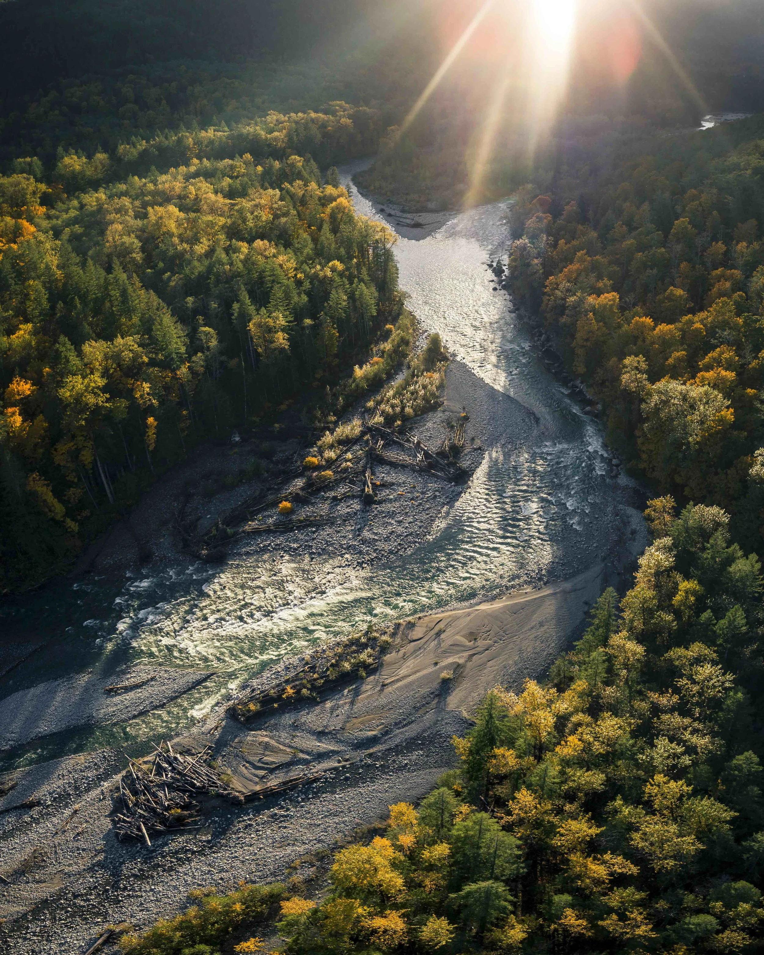 Fall_Season_Nature_Aerial_of_River_by_Colorful_Trees_with_Lens_Flare.jpg
