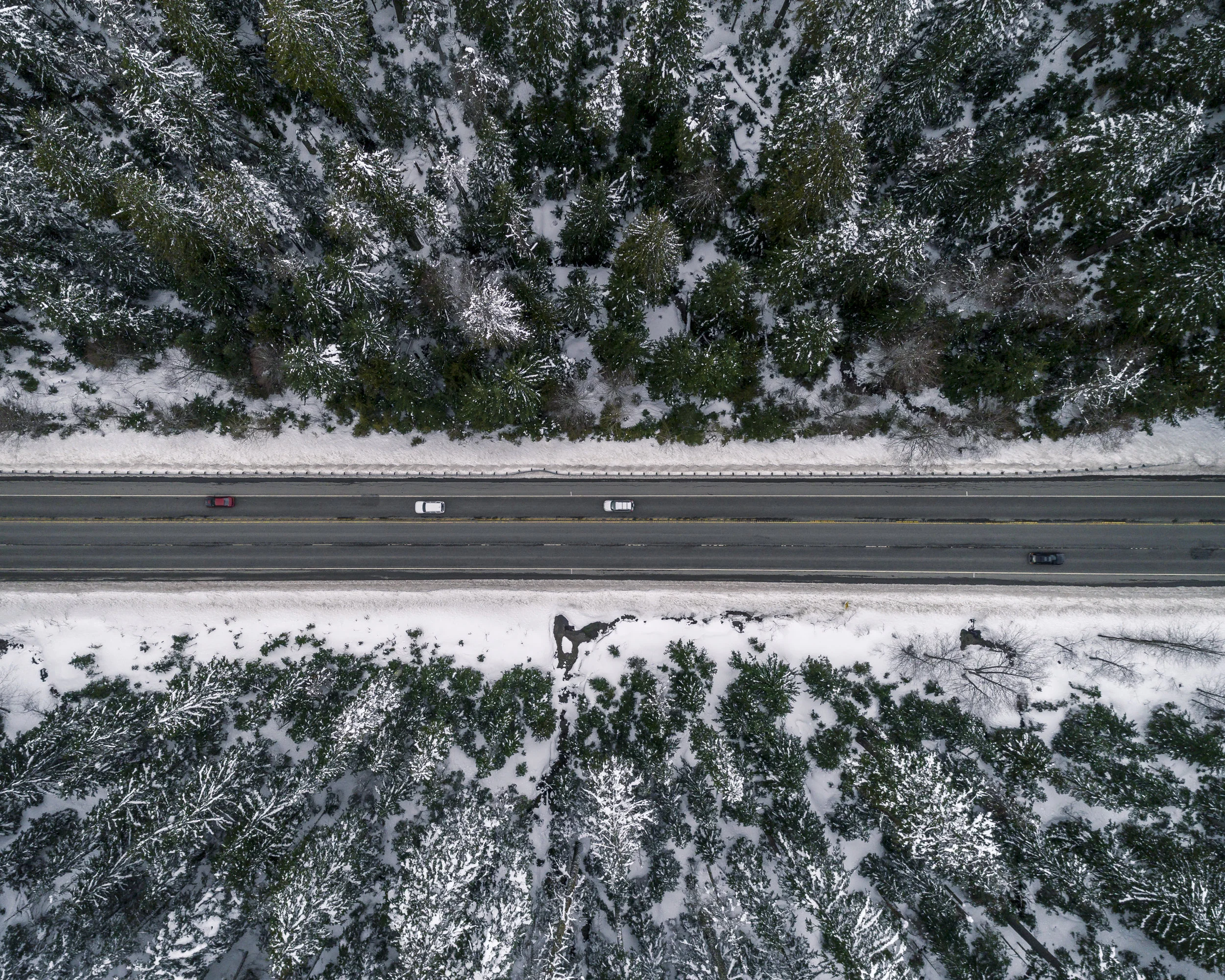 Birdseye_View_Snowy_Forest_Road_Travel_Aerial.jpg