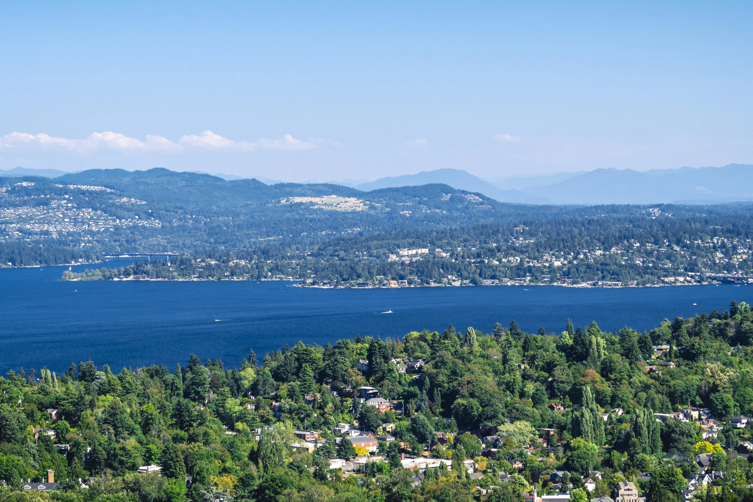 Evergreen_State_Lake_Washington_Summer_Aerial.jpg