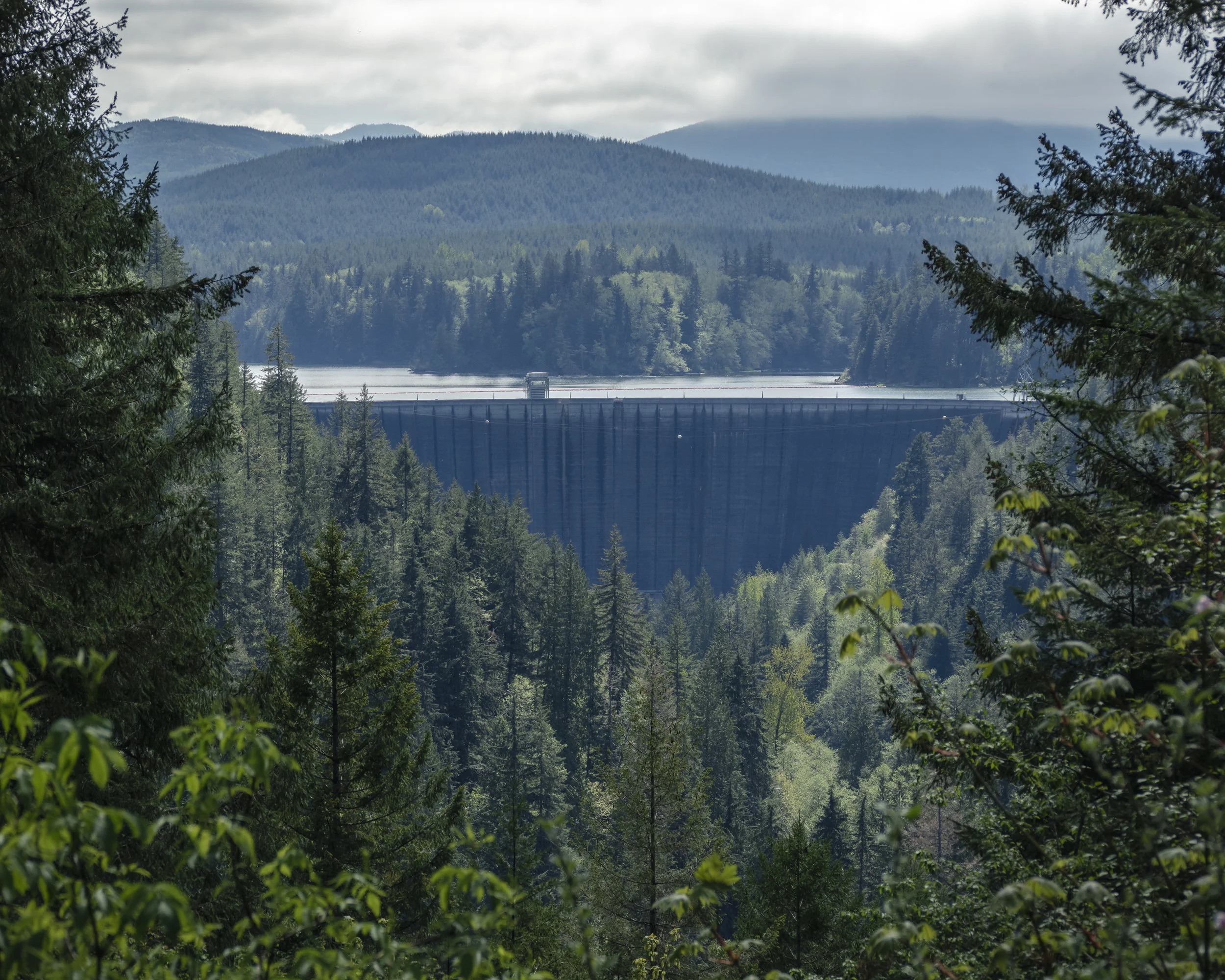 Alder_Dam_Washington_Roadside_Viewpoint.jpg