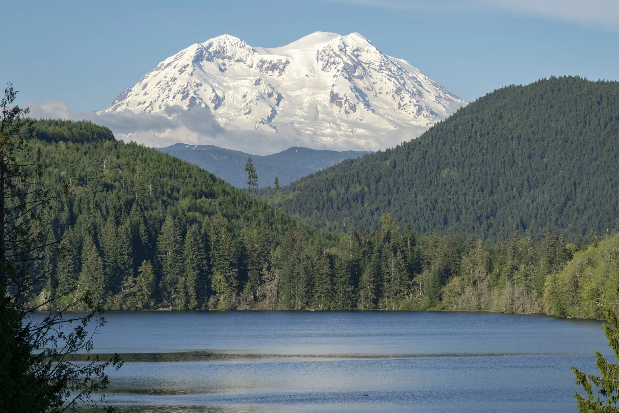 Sunny_Day_Peaceful_Lake_View_of_Mt_Rainier.jpg