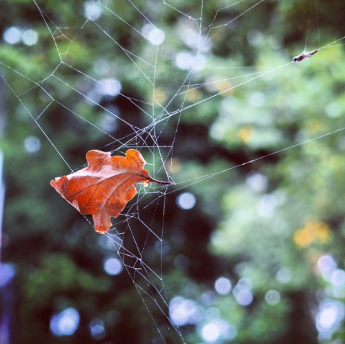 téléchargement (1).png