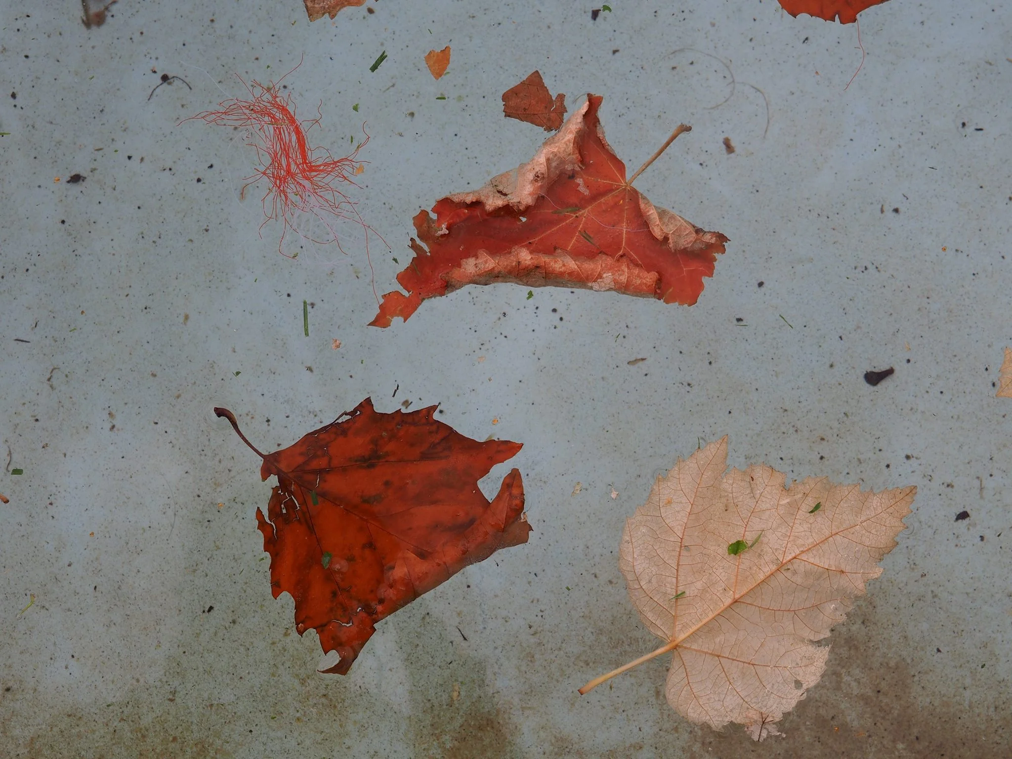 Cours de photographie contemplative