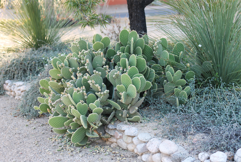 tucsonpost3.2.jpg