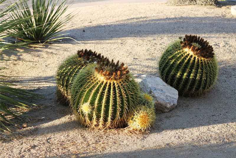 tucsonpost3.4.jpg