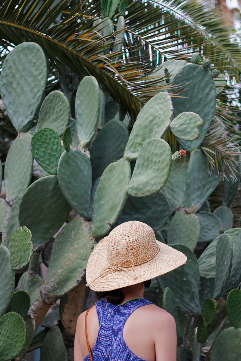 tucson6.jpg