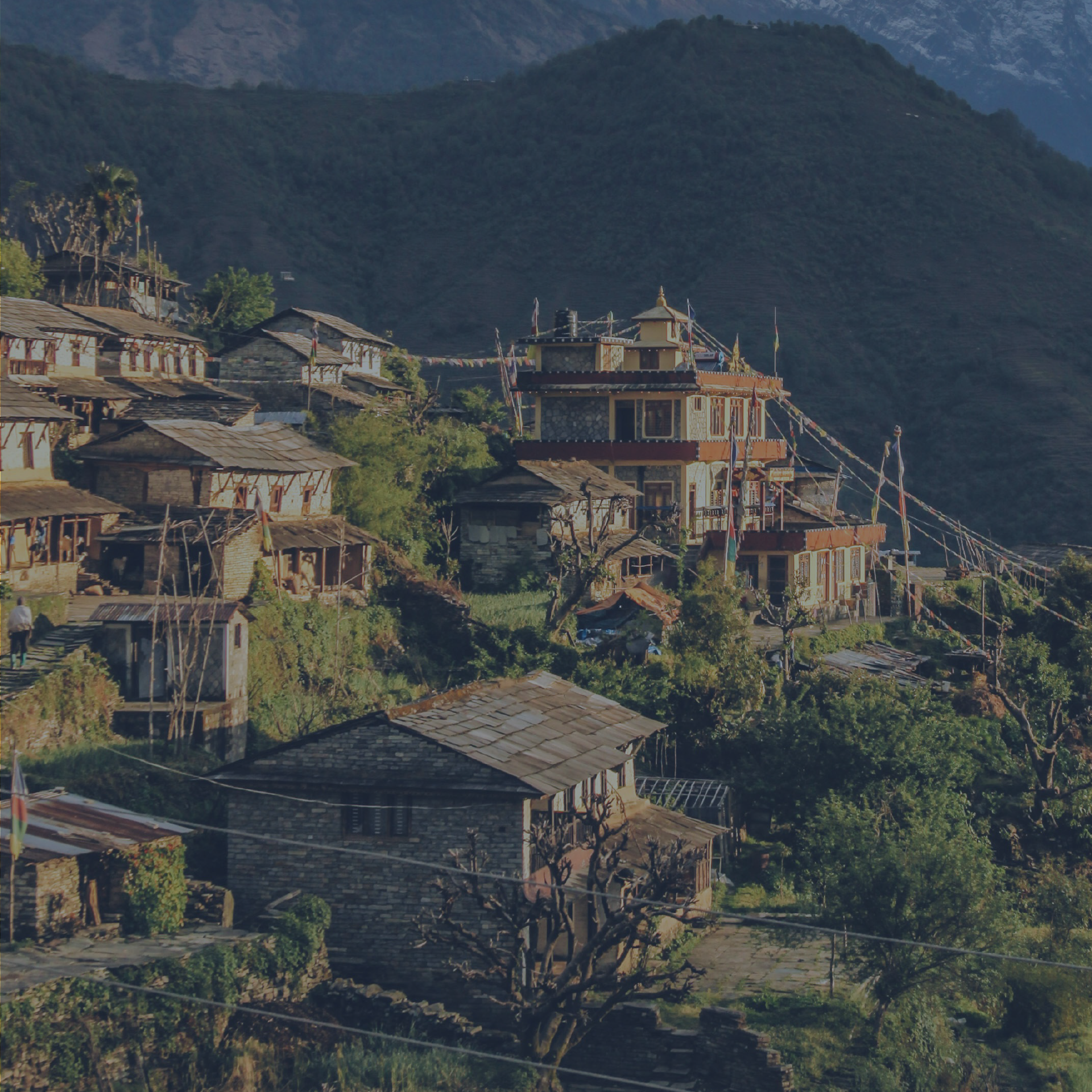 website-headers__Mission Partners Header.png