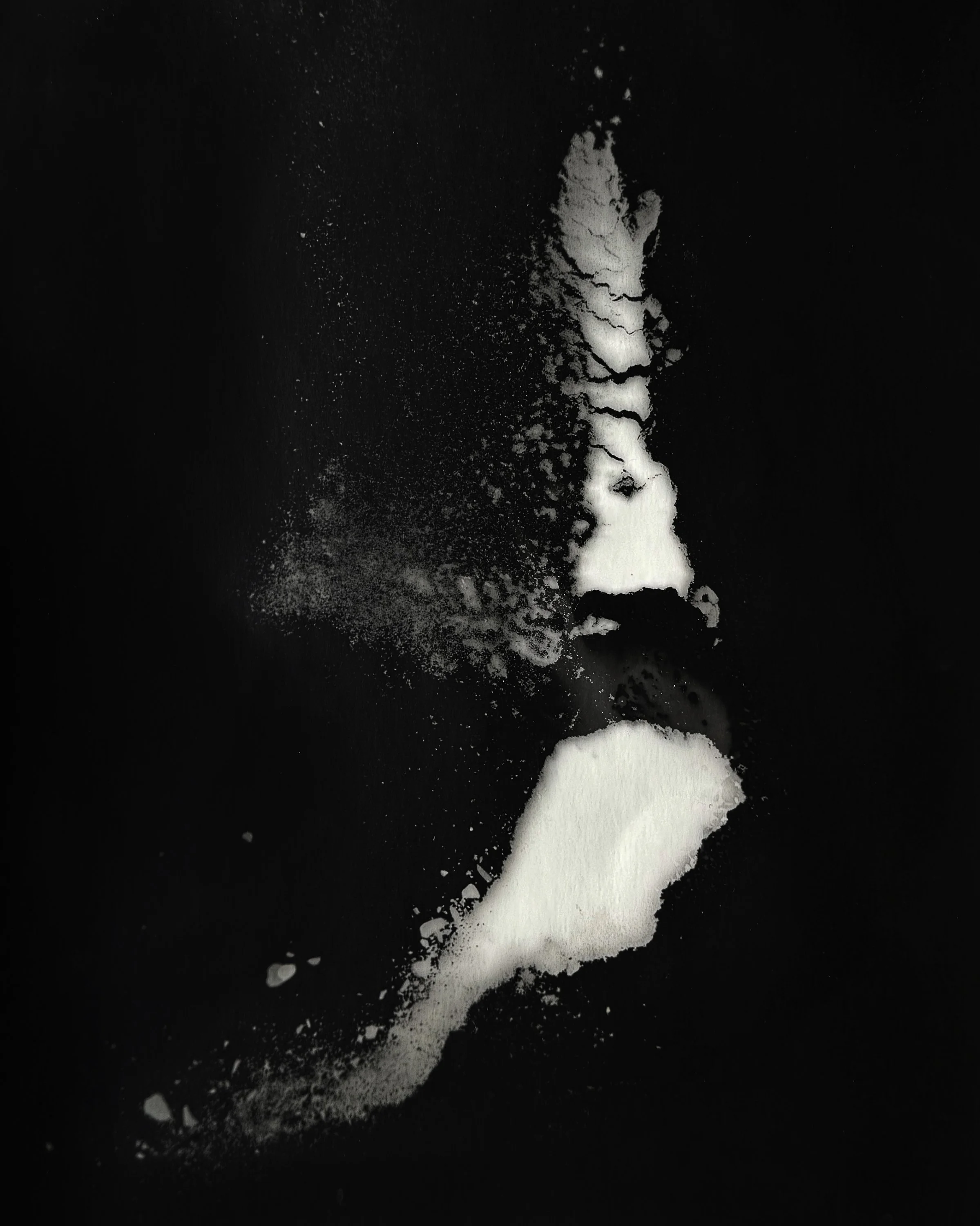 A Body Trying to Remain a Body, 2026