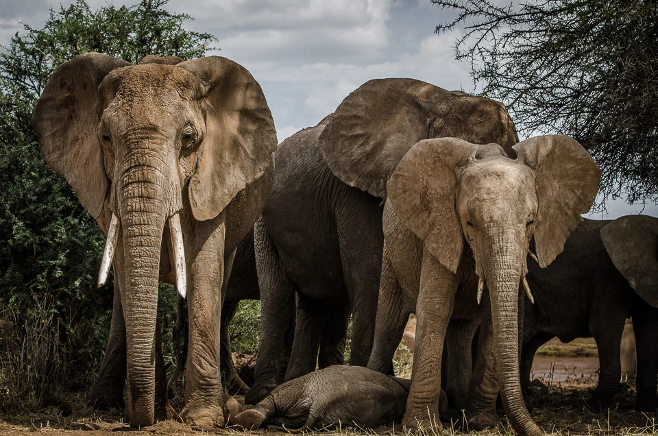Kenya2015-6.jpg