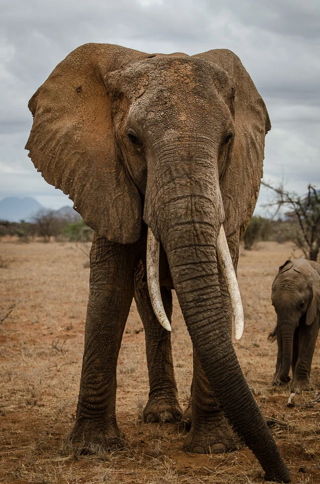 Kenya2015-18.jpg