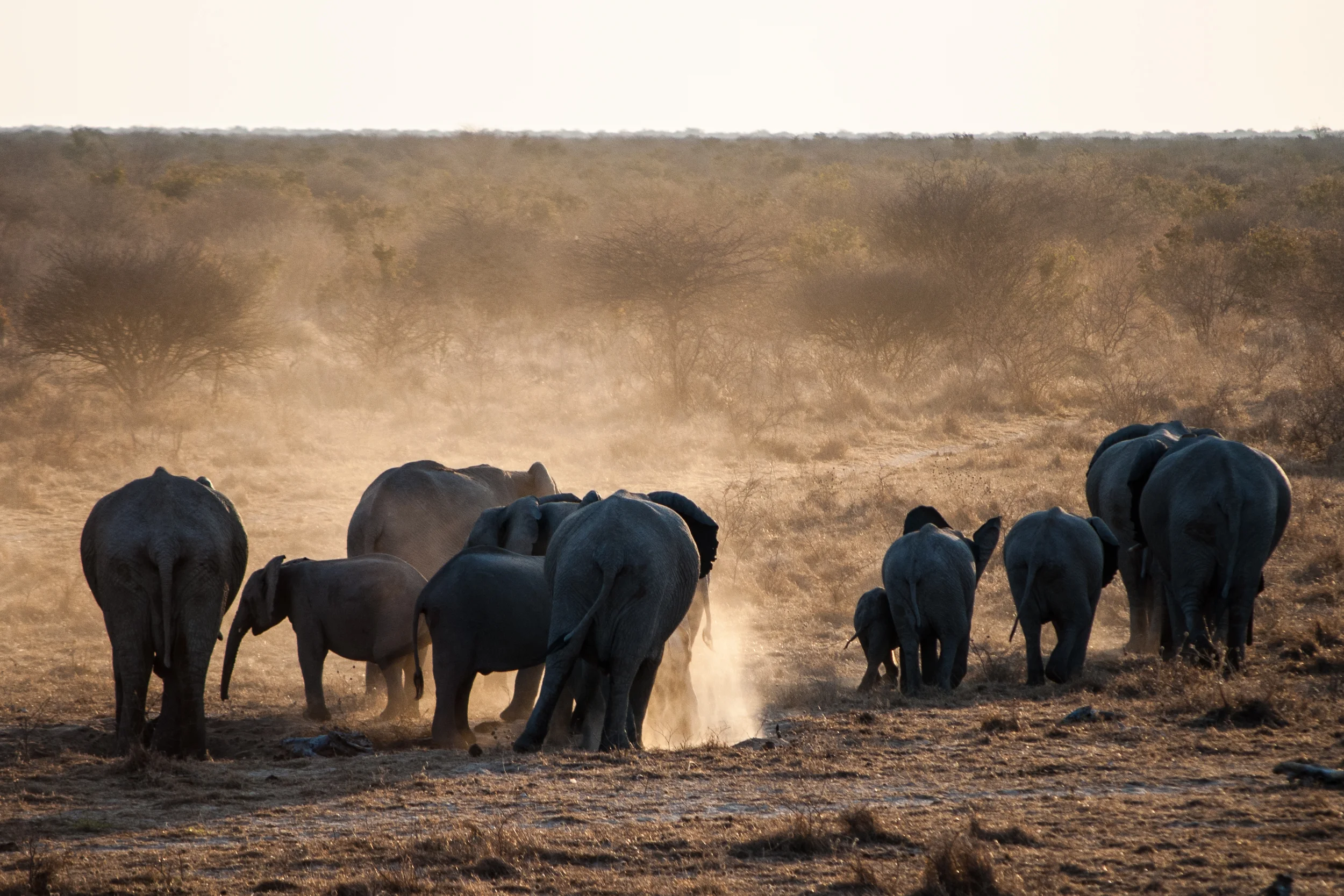 PTFreeman_Namibia_2011_Sunset.jpg