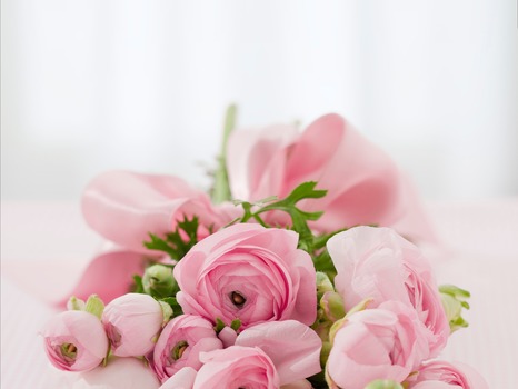 Flower Shop.jpeg