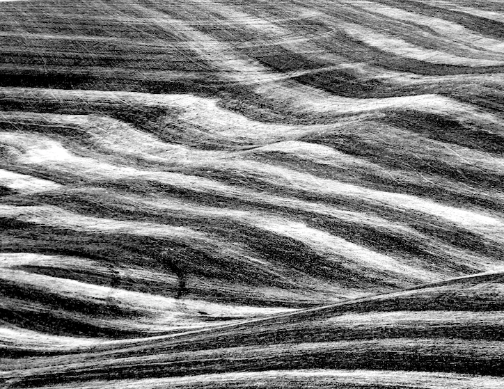 palouse_BW.png