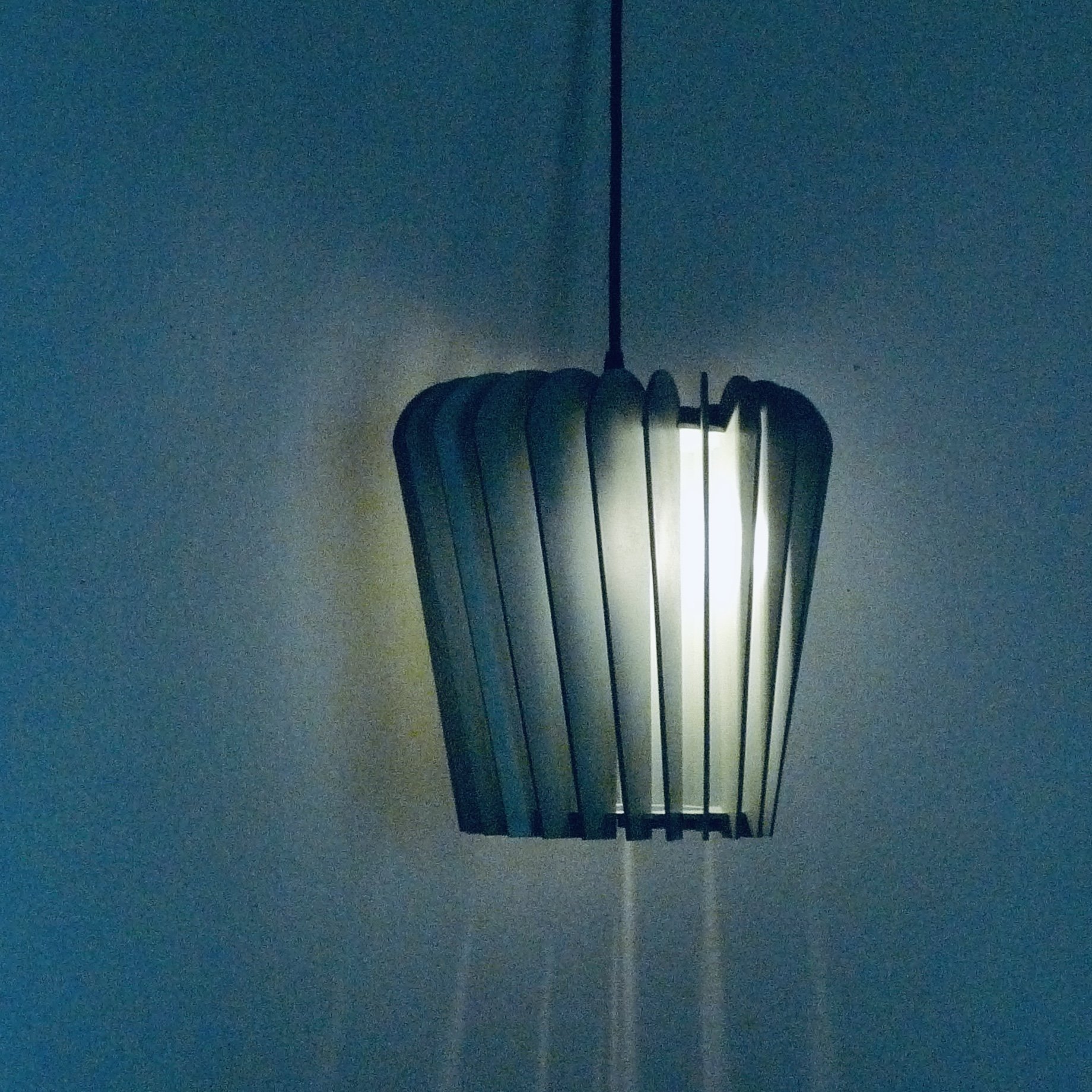 P1080786.jpeg