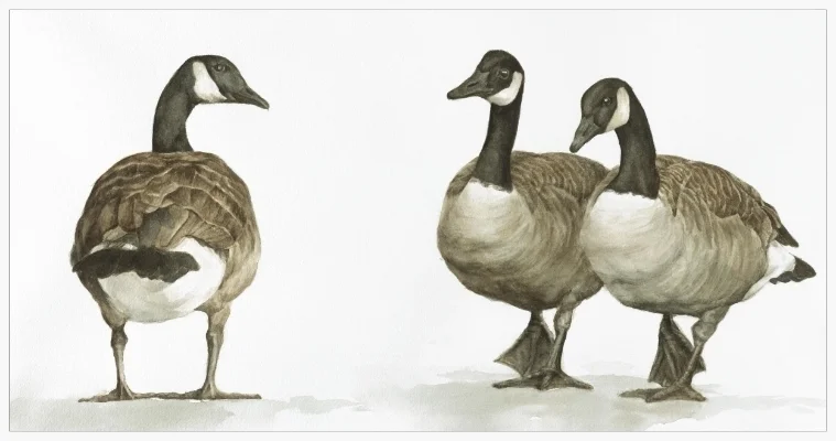Three's a crowd