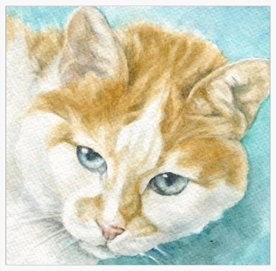 Cat Portrait