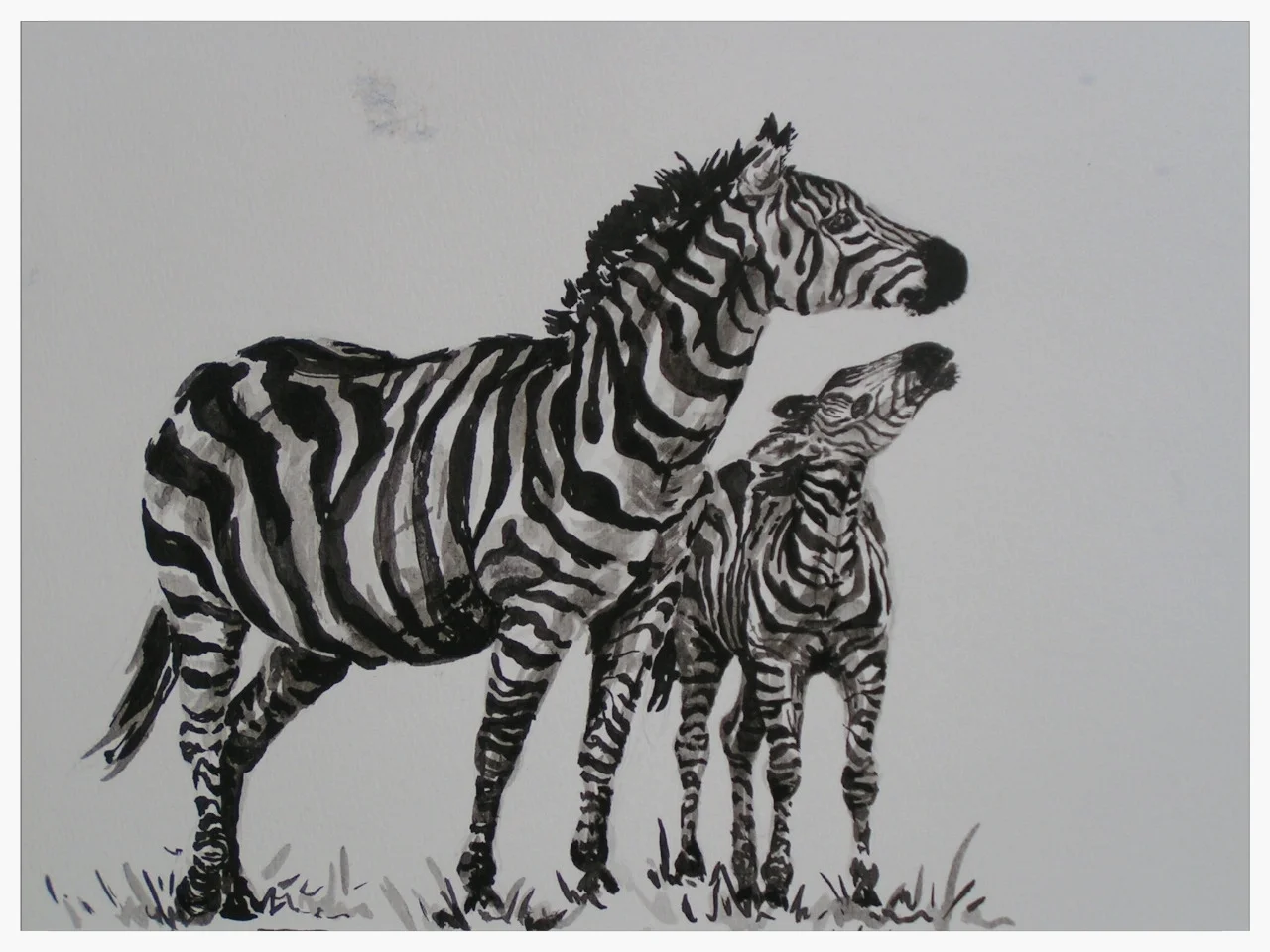 Stripes