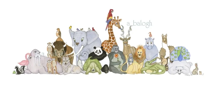 Animals Illustration - Copyright.jpg