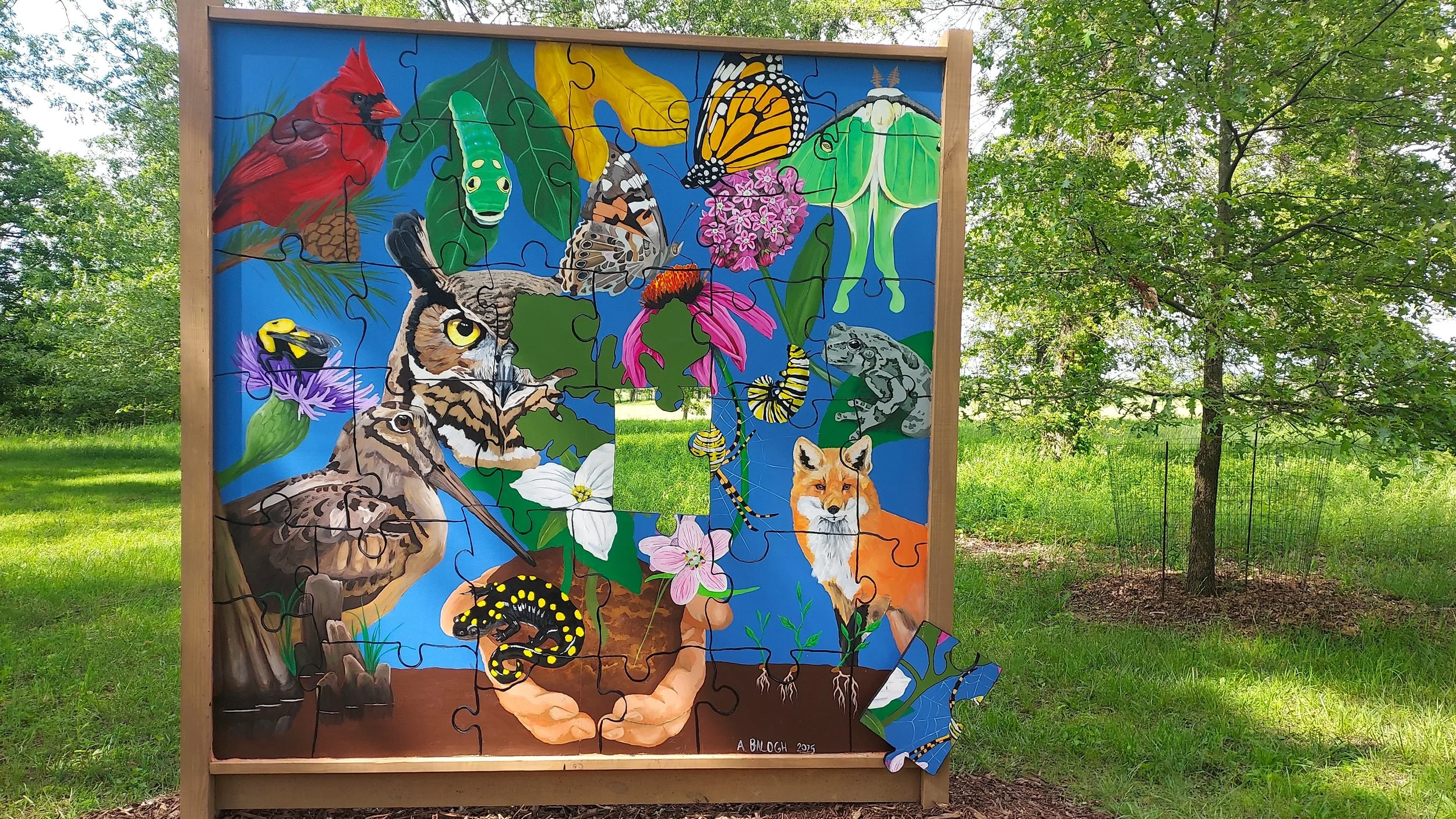 The Puzzle of Nature