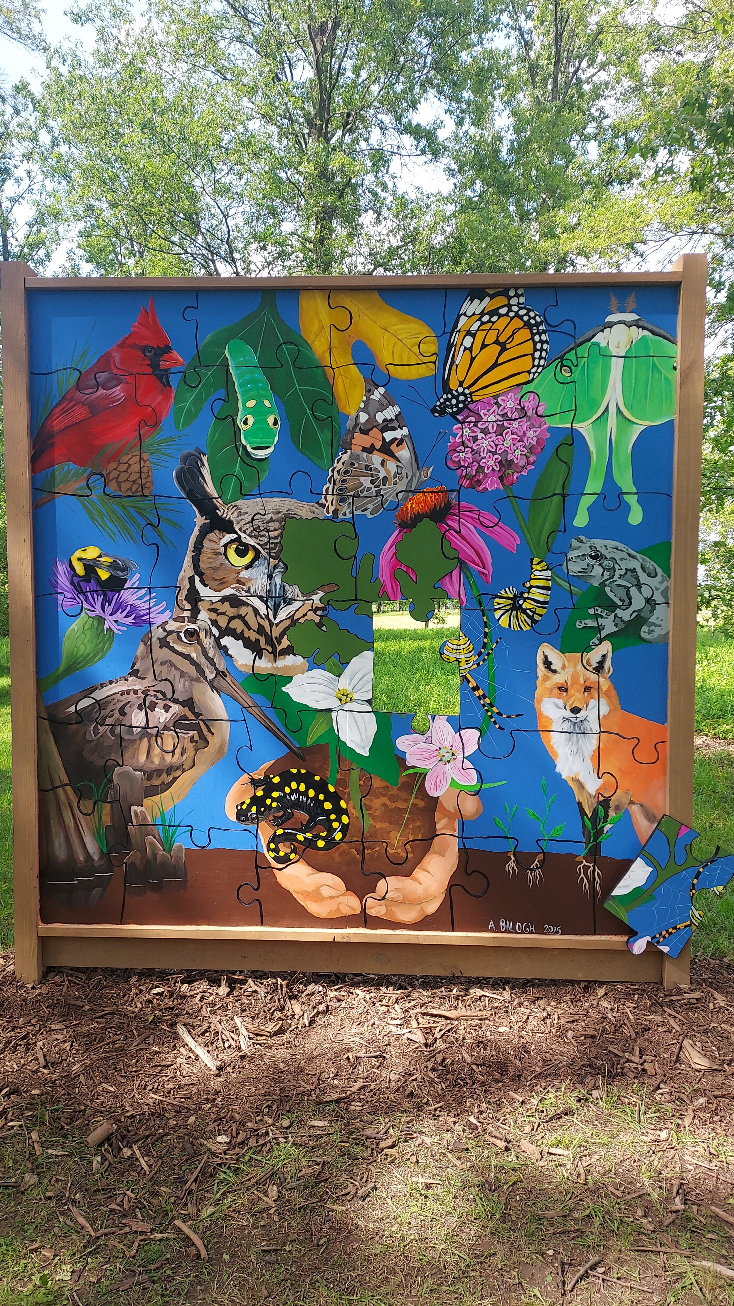 Puzzle of Nature - interactive