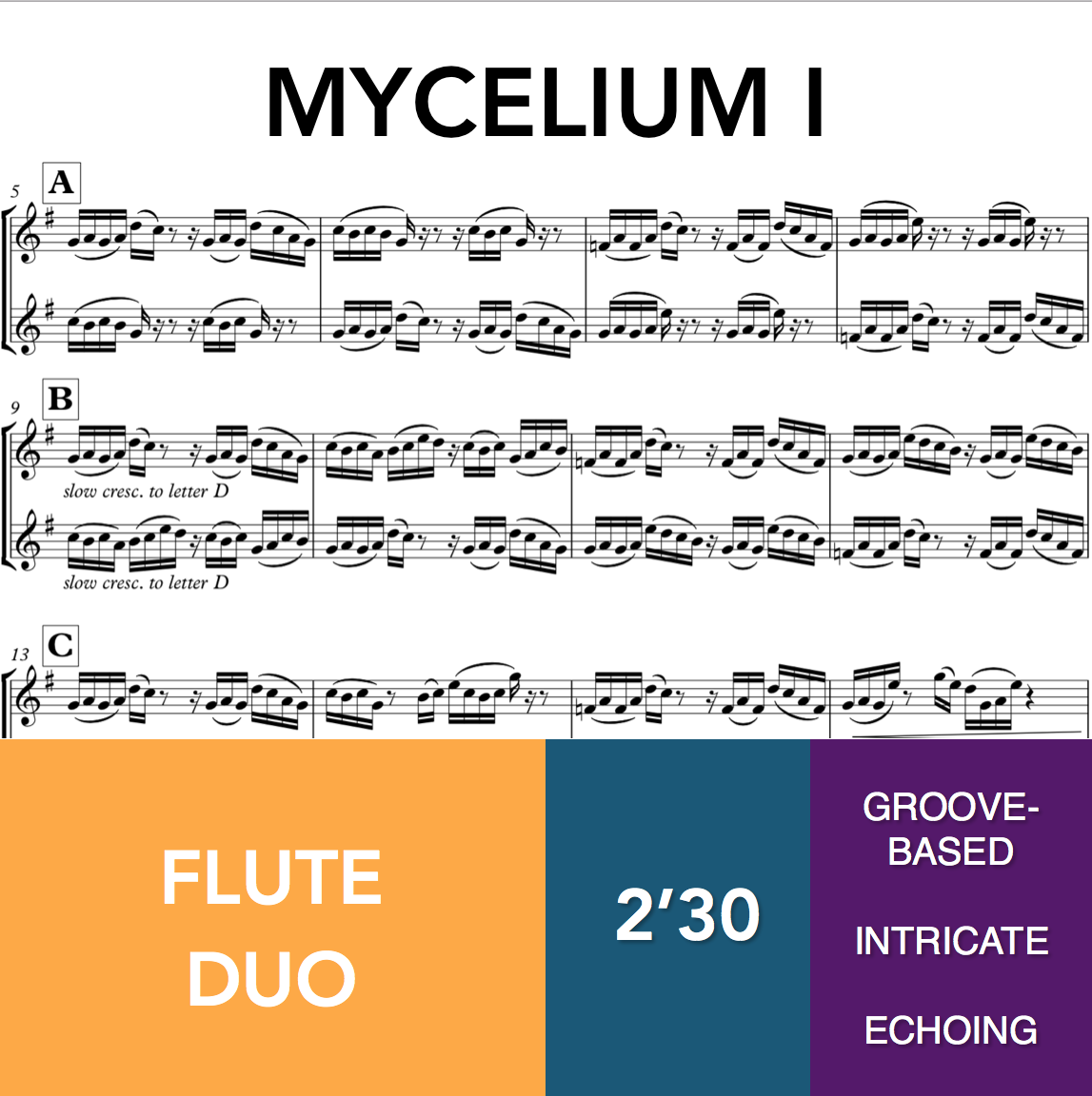 Mycelium i - Flute