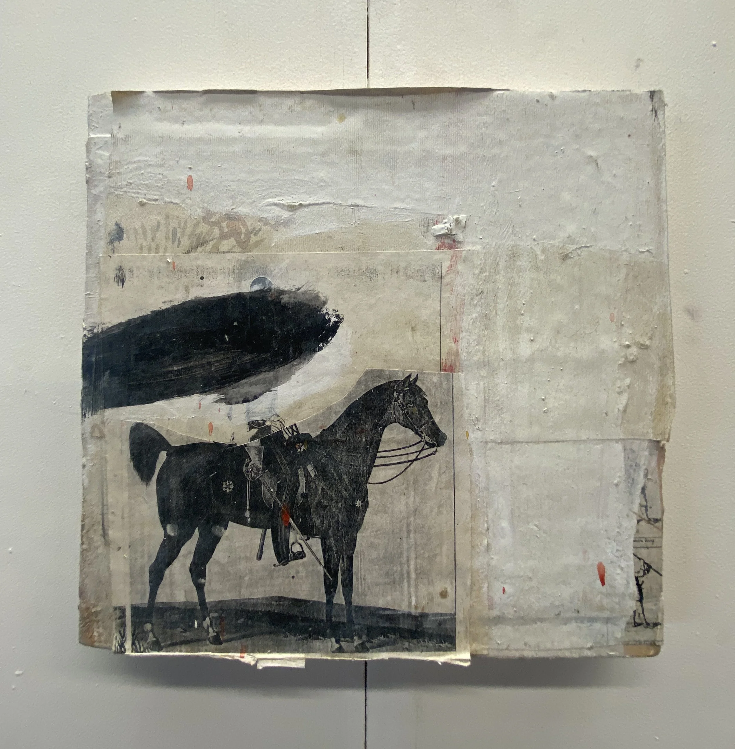 Horse 1.jpeg