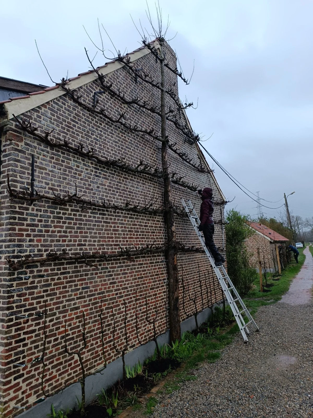 Designing Change: How Transition Design Turns Heritage into Climate Action