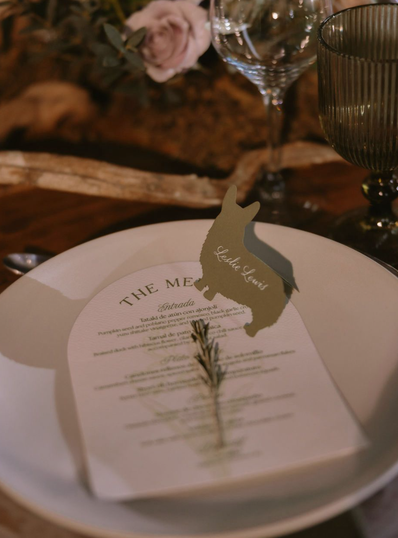 Screen Shot 2026-02-27 at 10.36.52.png