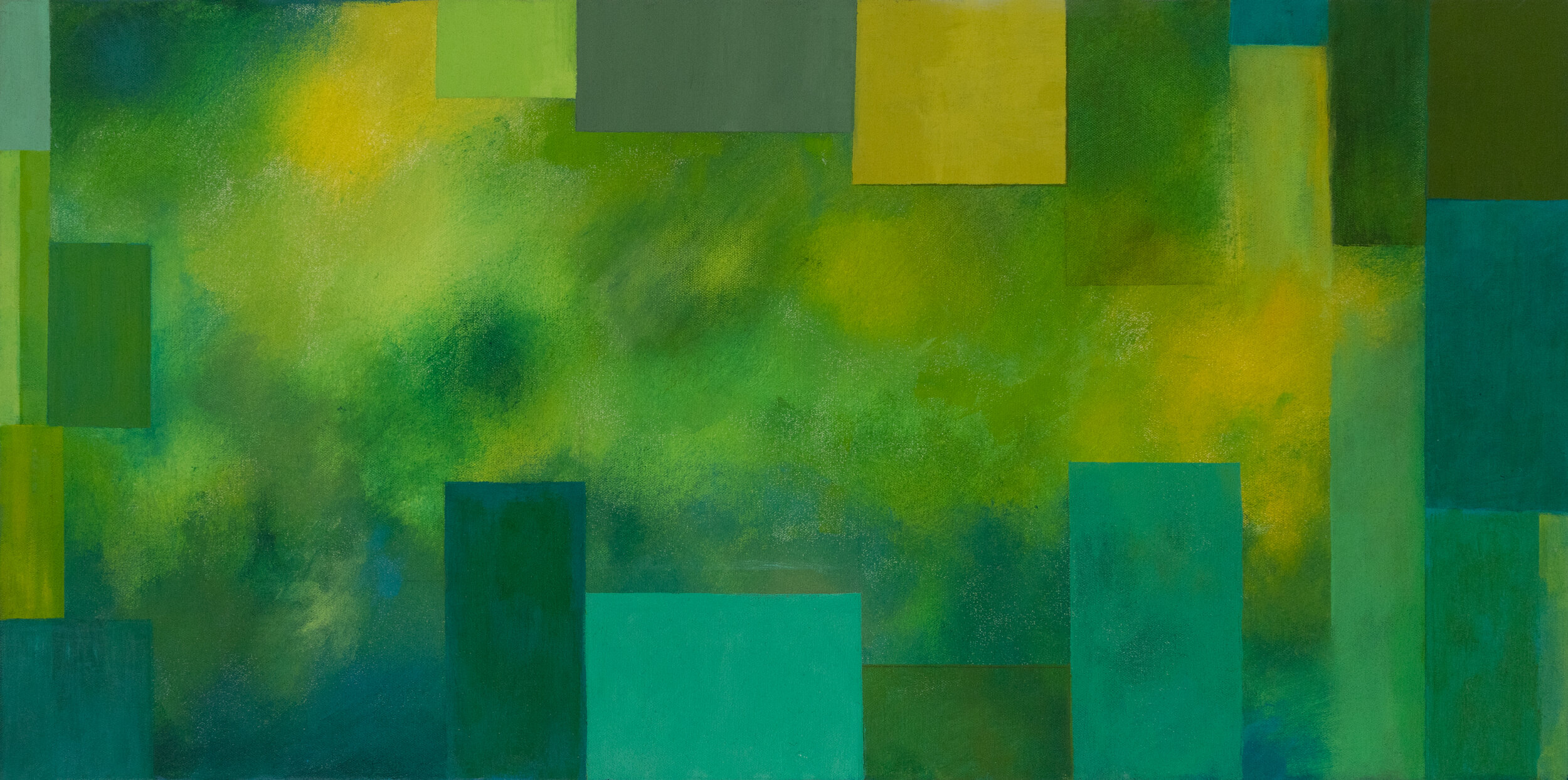 Untitled 15" x 30"  Acrylic on canvas