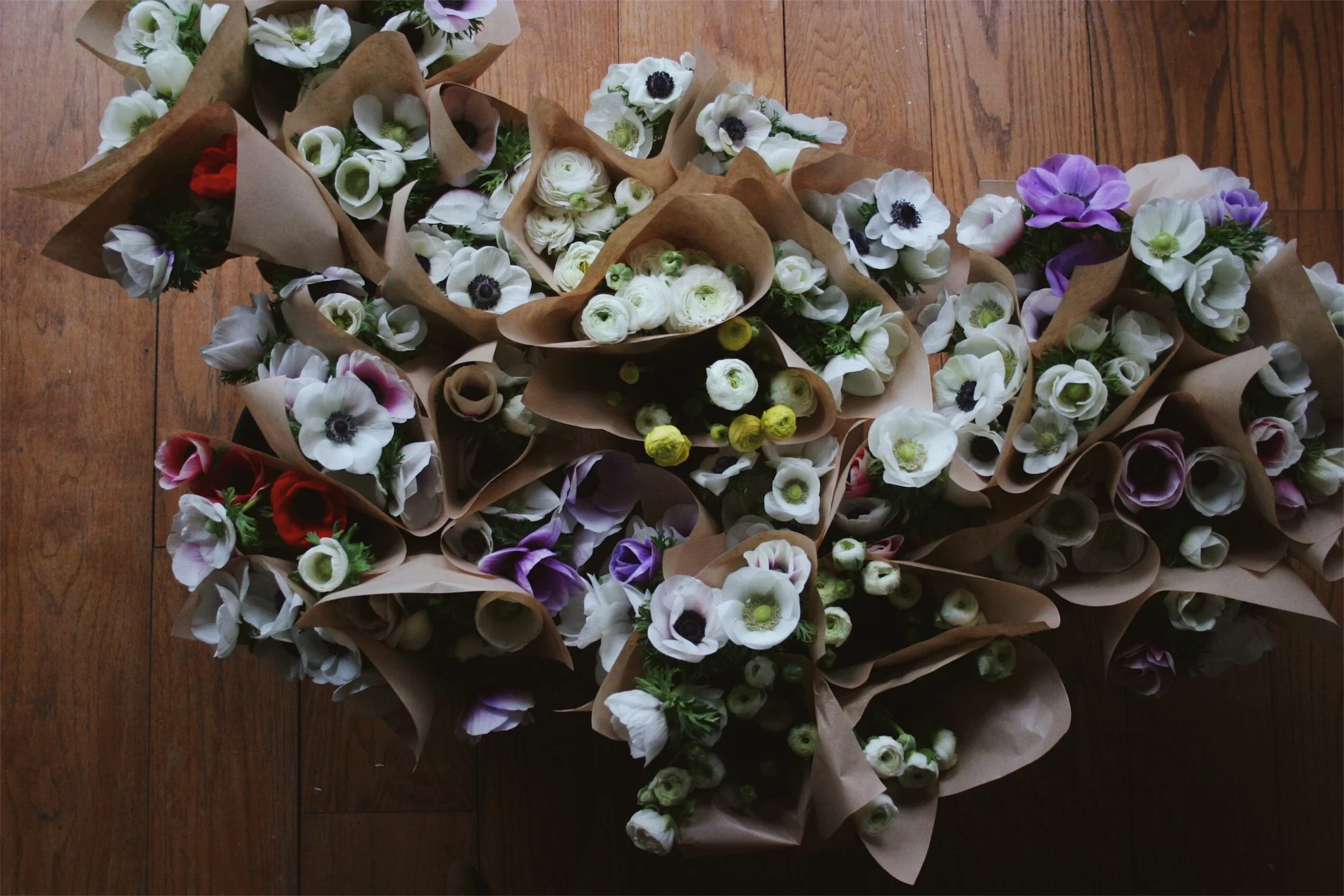 2018 Anemones