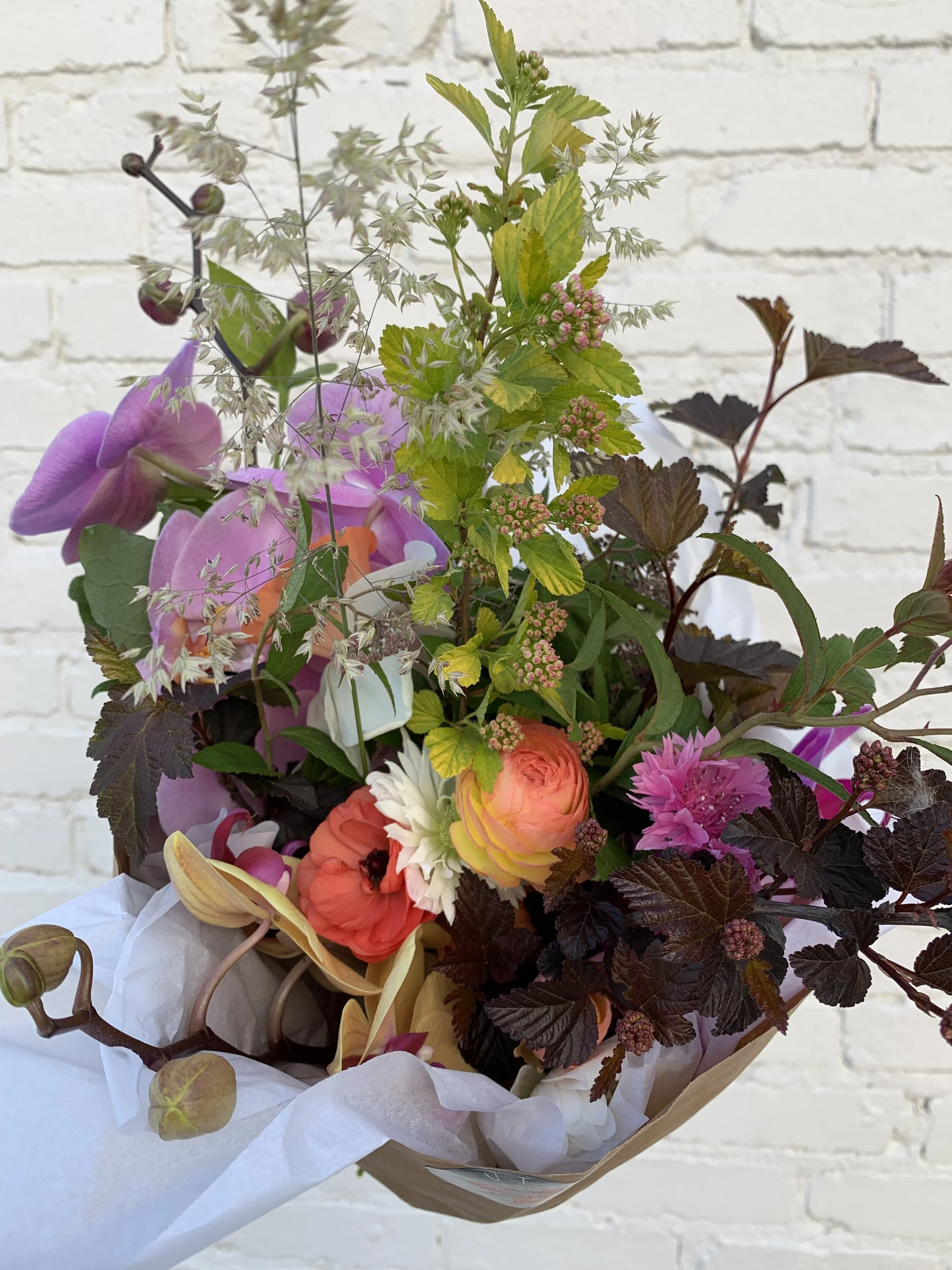 Lines Orchids x SFF - Hand-tied Bouquet with Delivery