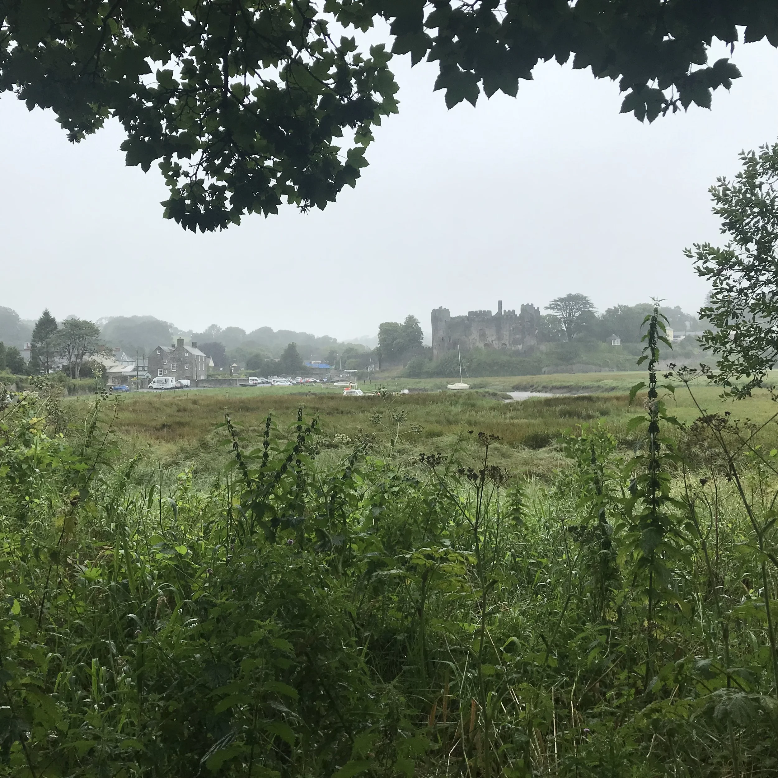 Laugharne in the rain.jpeg