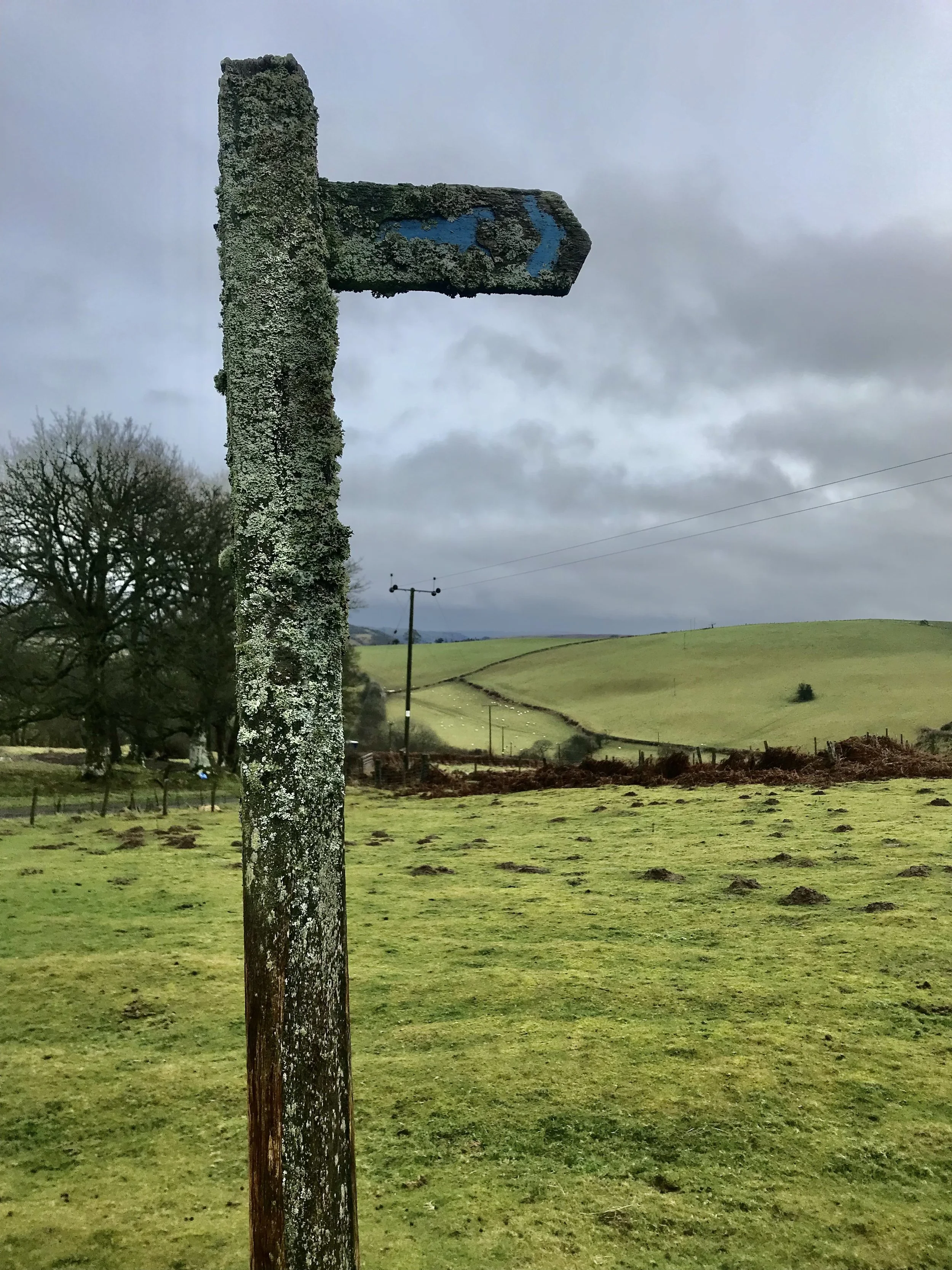 Radnorshire 2.jpeg