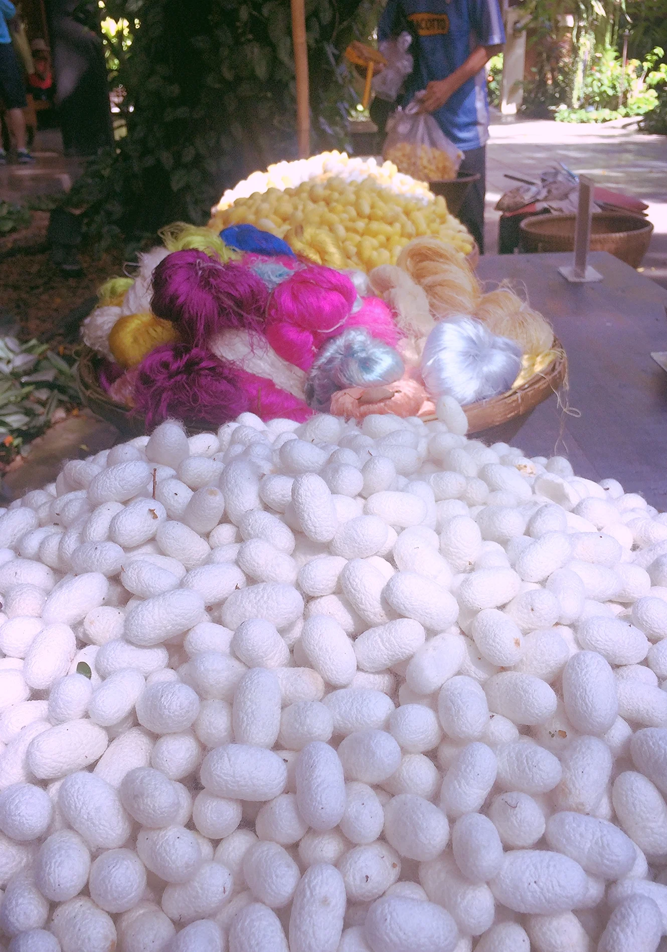 Silkworms and dyed silks on display at Jim Thompson House. 