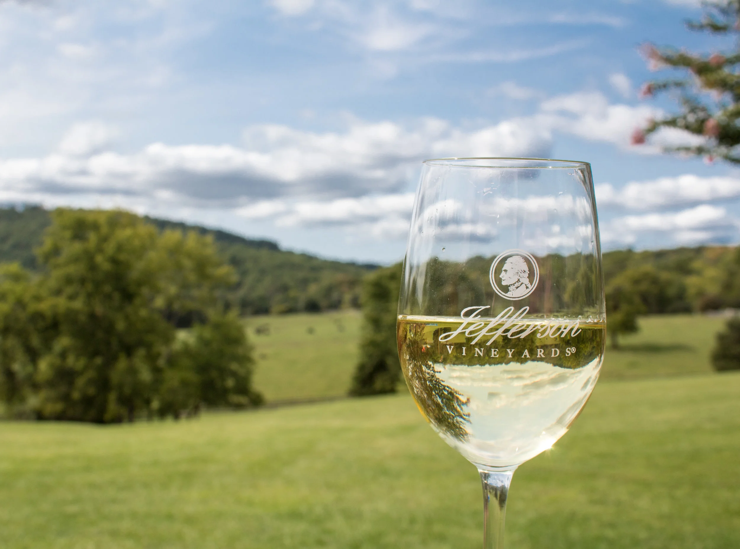 safari wanderlust trolley