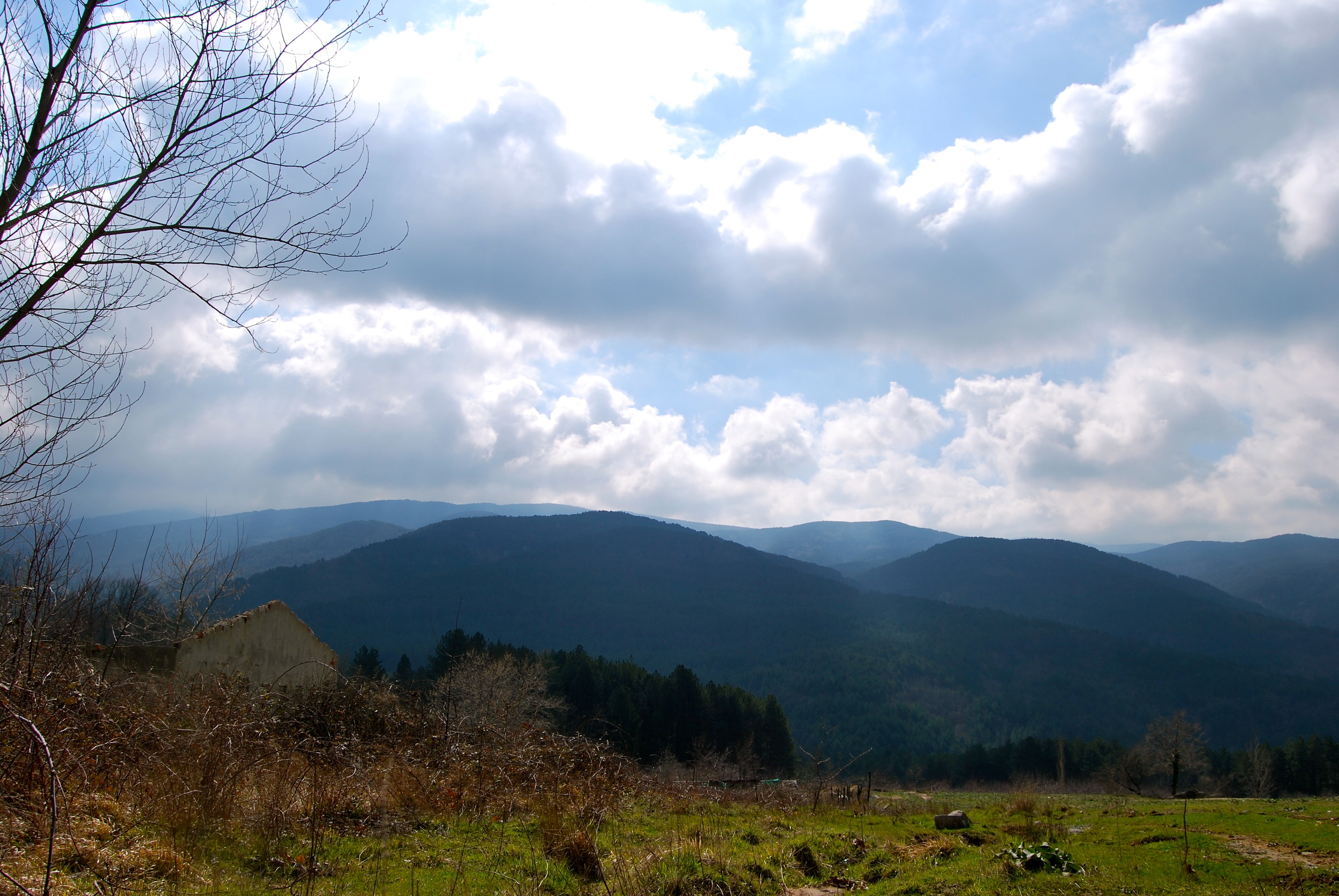 DSC_0127.JPG