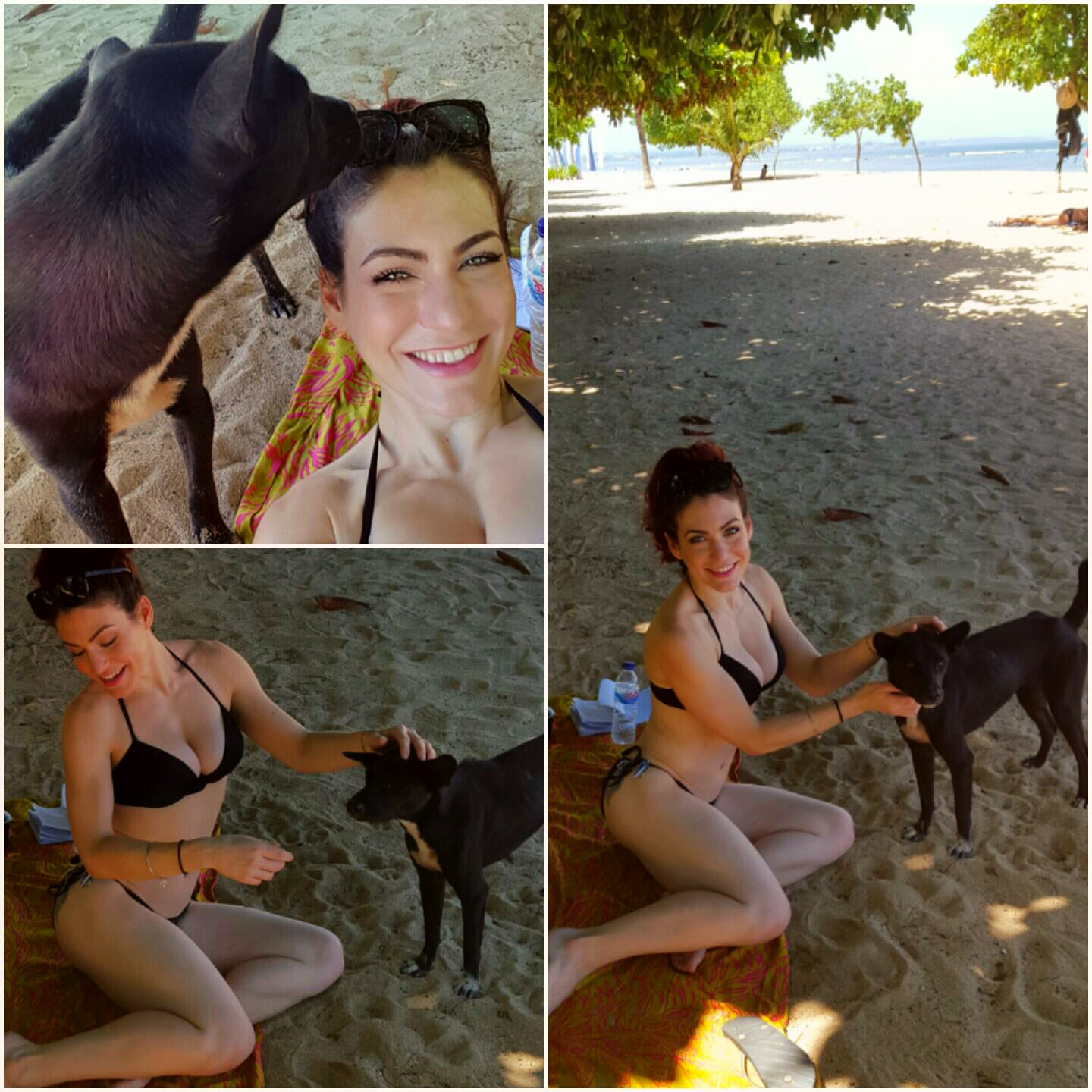 beach puppy.jpg