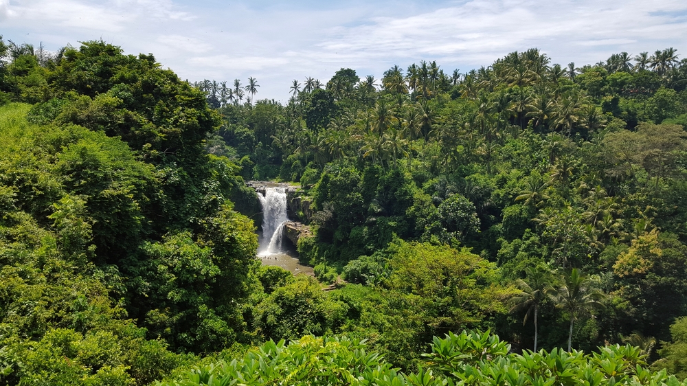 waterfall from a distance.jpg