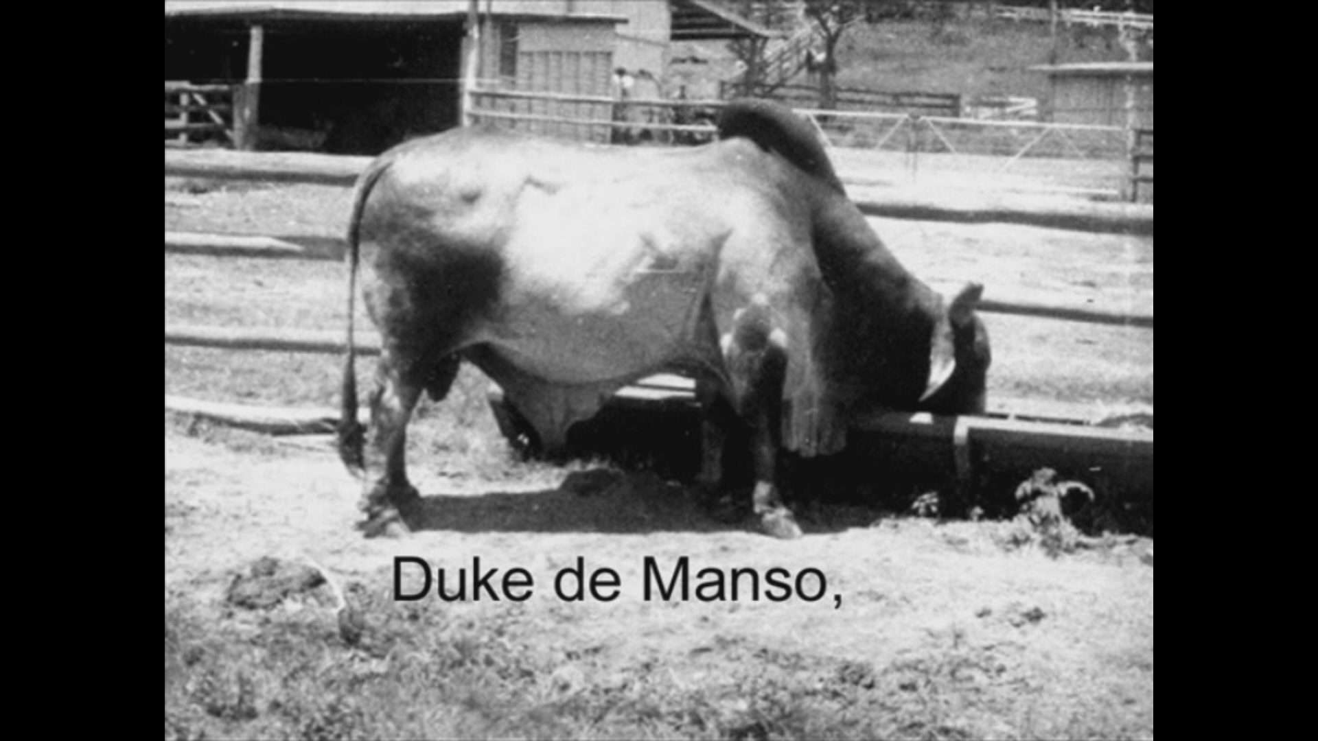 Duke De Manso 2.jpg