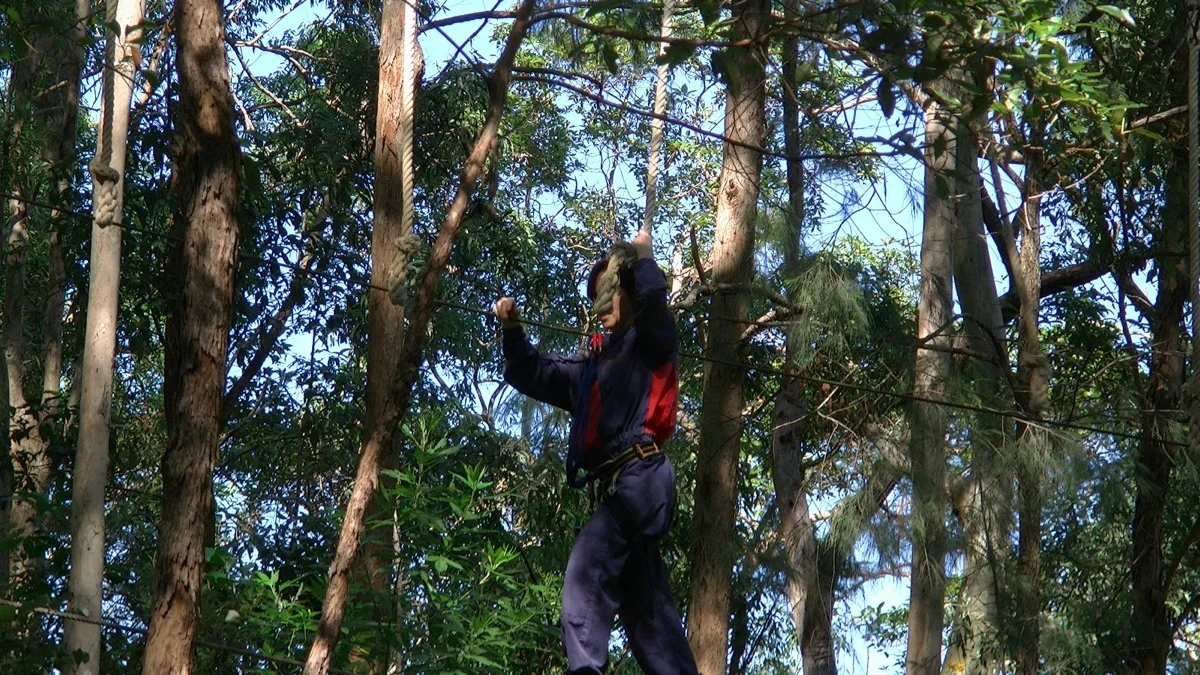 pic_0718+2.jpg