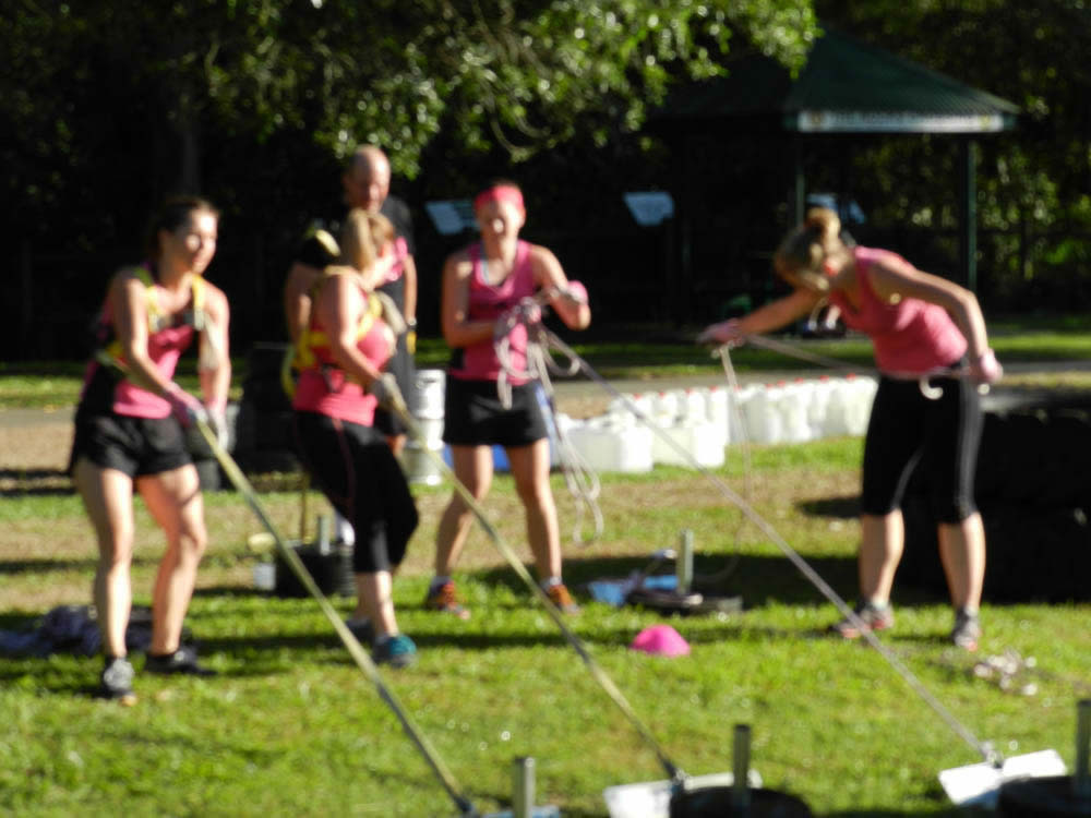 dscn0267.jpg