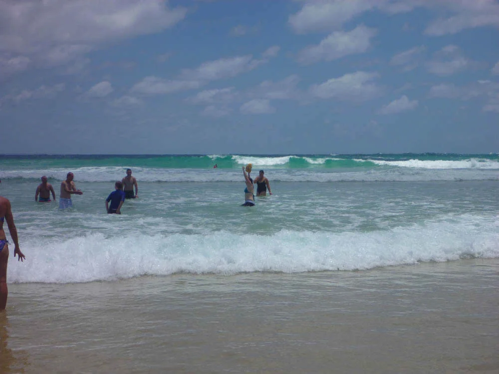 p1000595.jpg