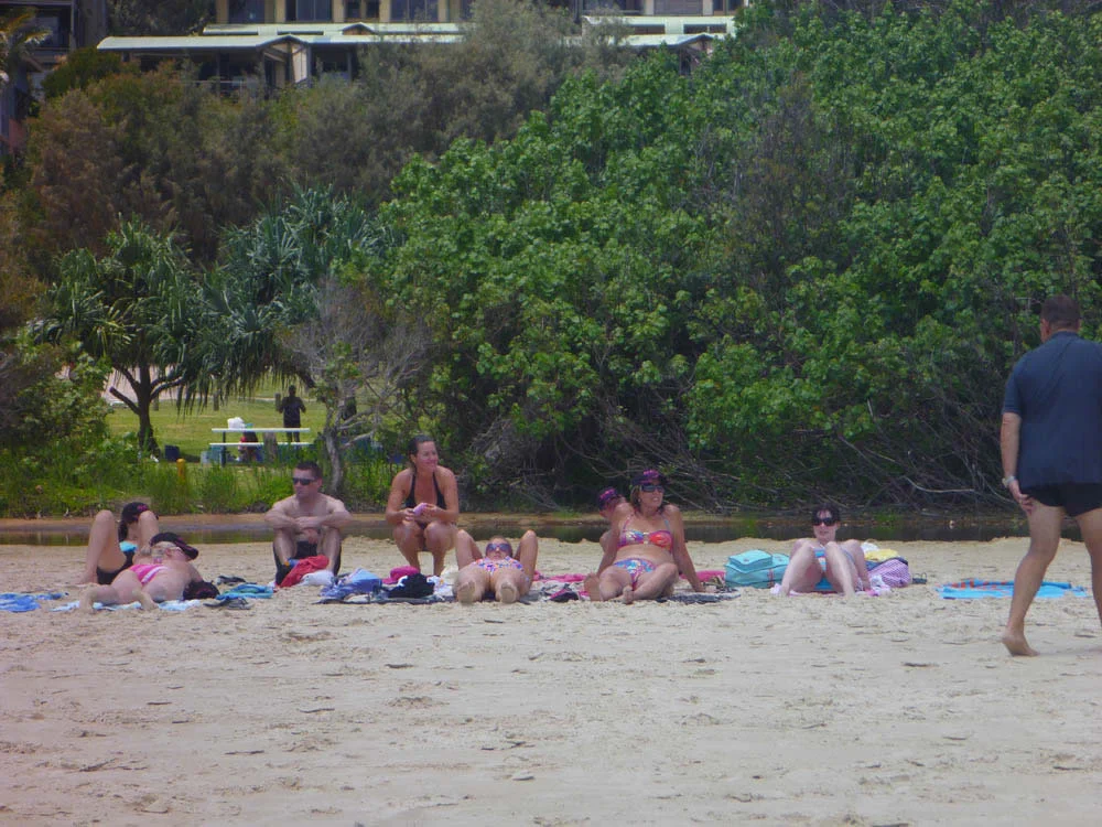 p1000597.jpg