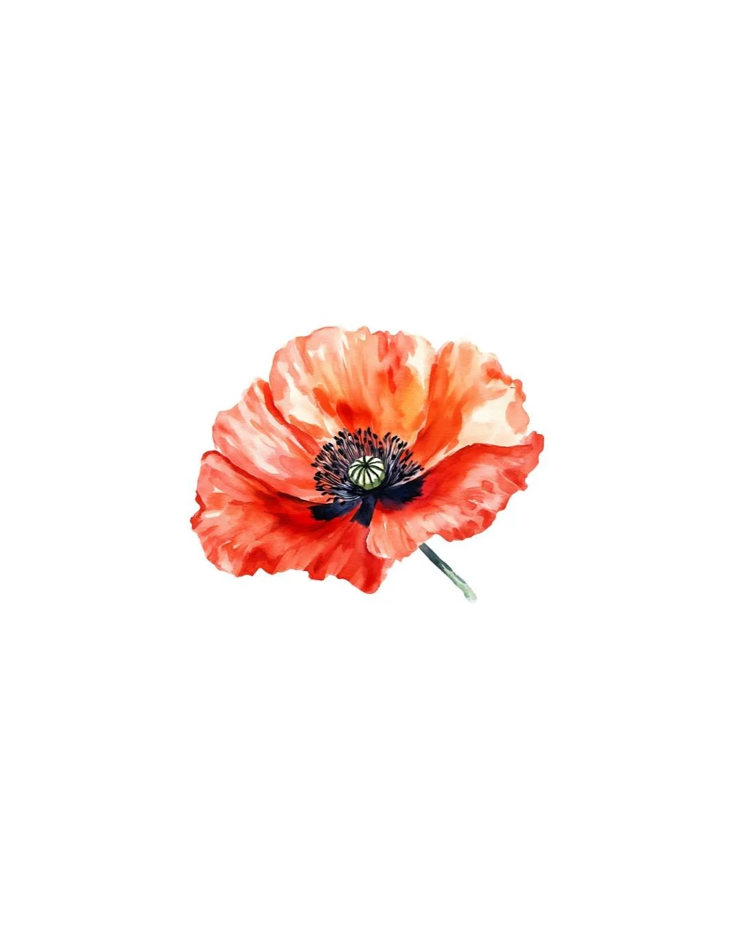 Today we pause to remember.

We remember the men and women who gave their lives so that others could live in peace.

As we look back with gratitude, we also look around and see how deeply our world still longs for peace. Wars rage, divisions deepen, 