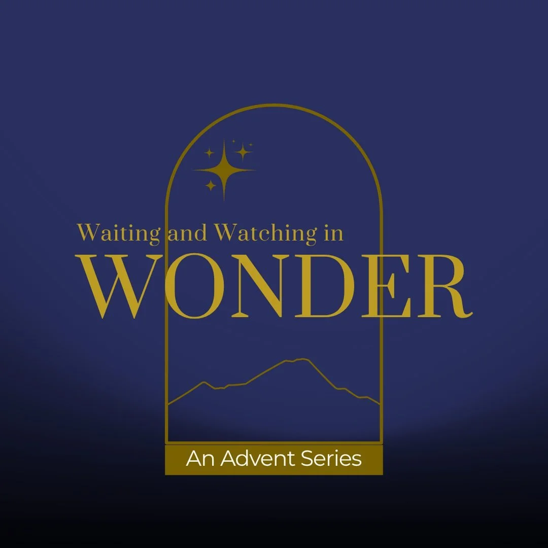 Watching the season of Christmas unfold in our culture can feel like being swept up into a red and green storm of holiday events, sugar cookies, and wrapping paper. While there is joy in some of this, it is easy to arrive at the end of December feeli