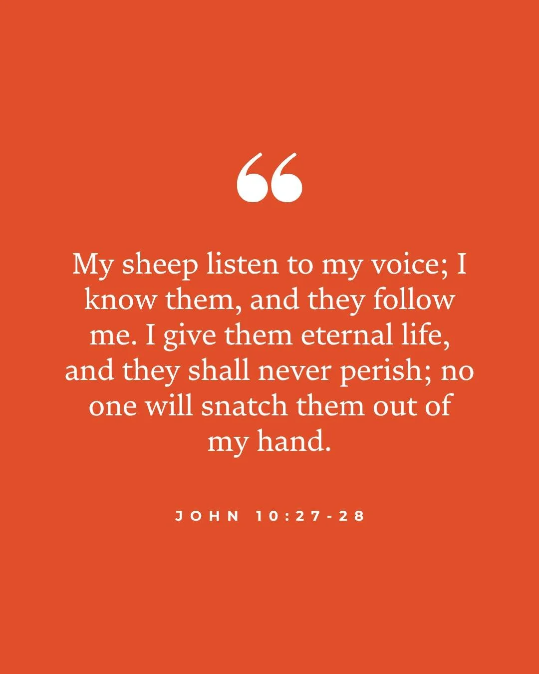 Following Jesus begins with learning to recognize His voice and trusting Him enough to follow where He leads. His promise reminds us that nothing can separate us from the security we have in His hands.
Where is Jesus inviting you to follow His voice 