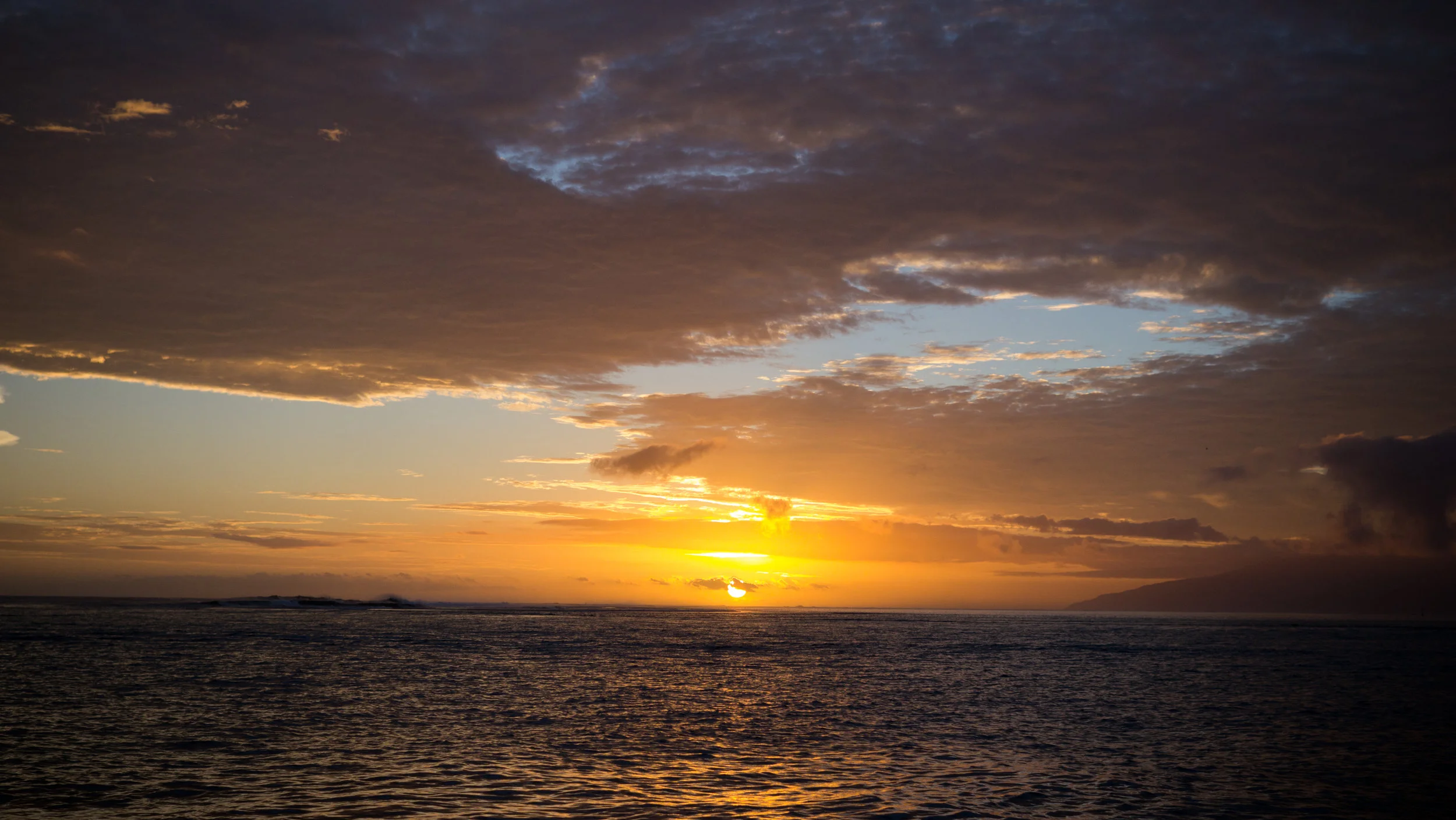 P1080836.jpg